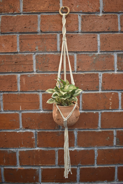 Hazel-Macramé - Planter- Combo