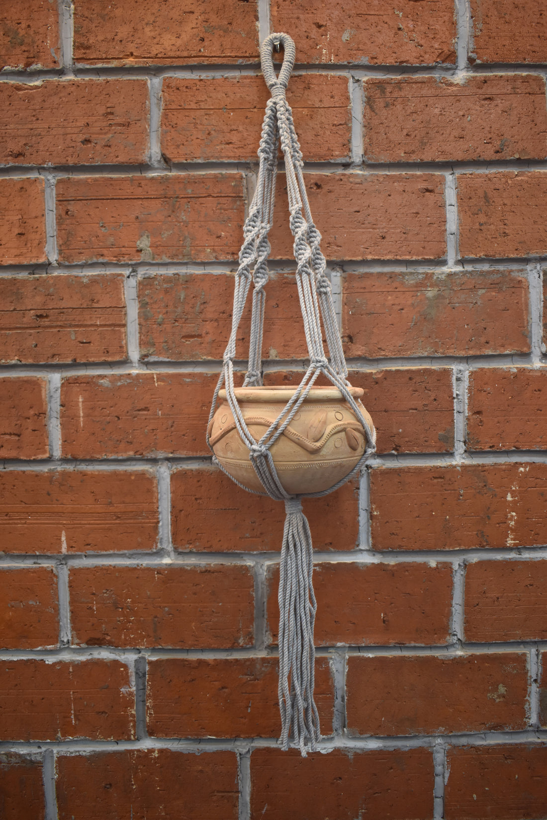 Sage-Macramé Plant Holder