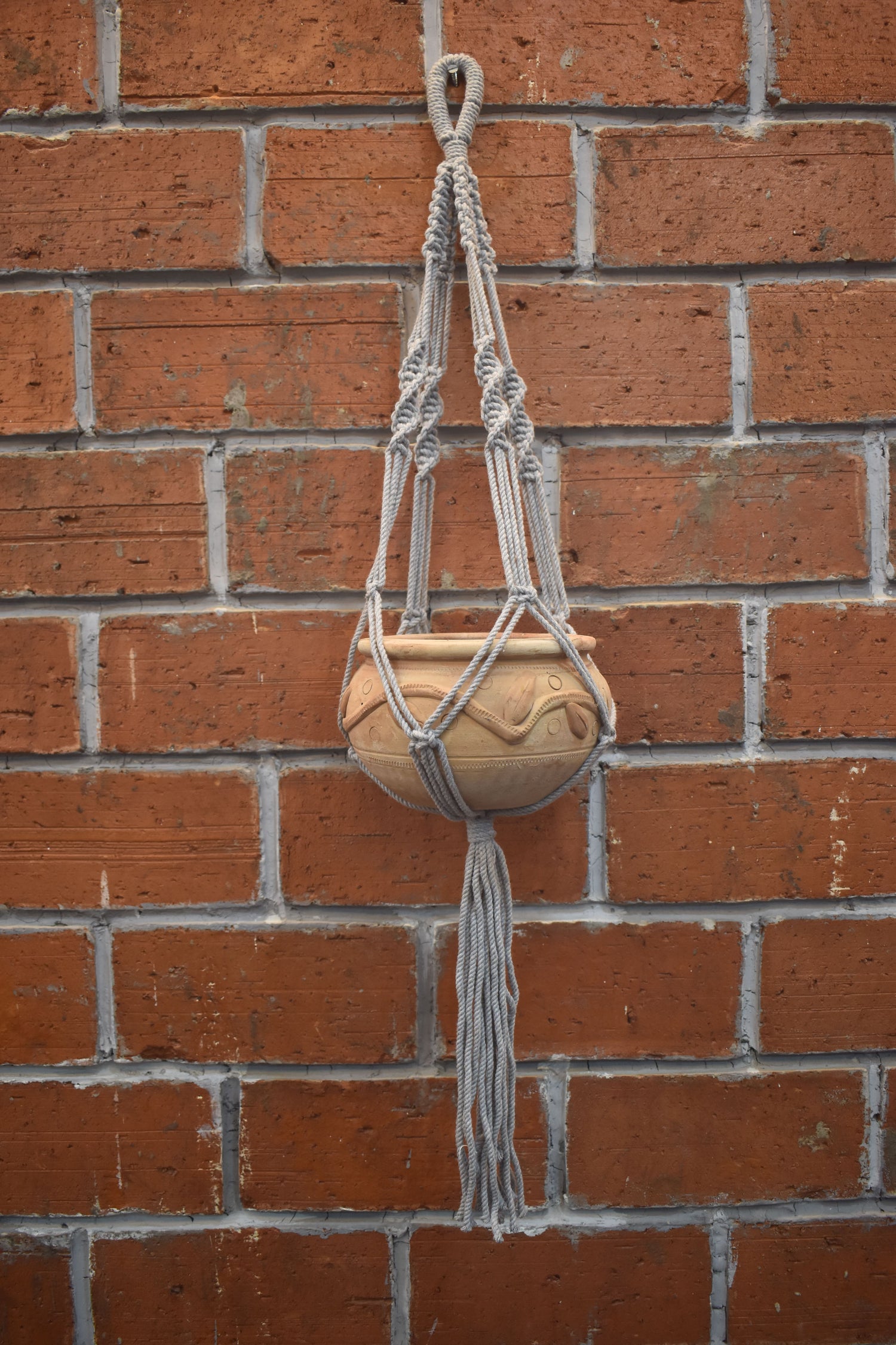 Sage-Macramé Plant Holder