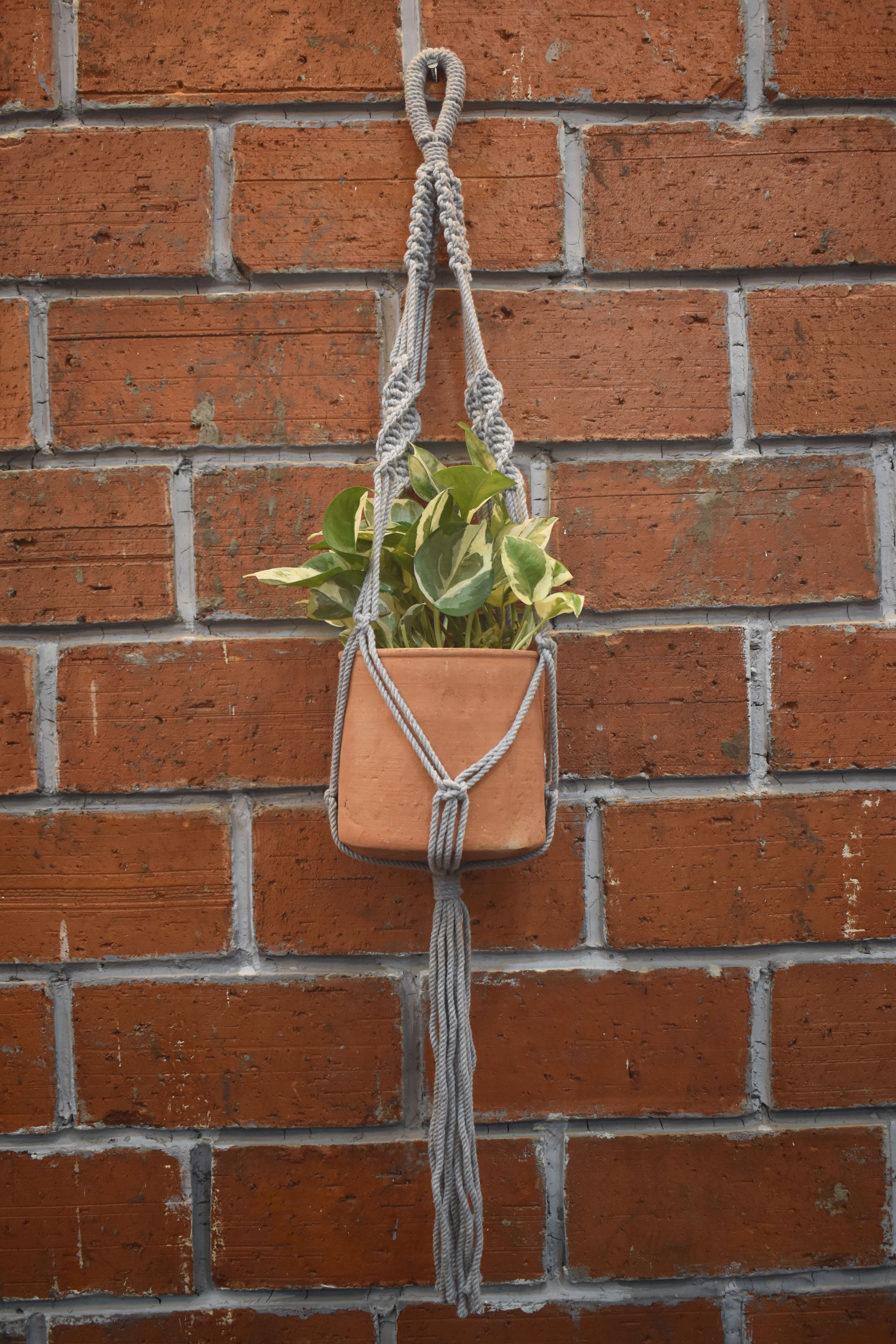 Sage-Macramé-Planter- Combo
