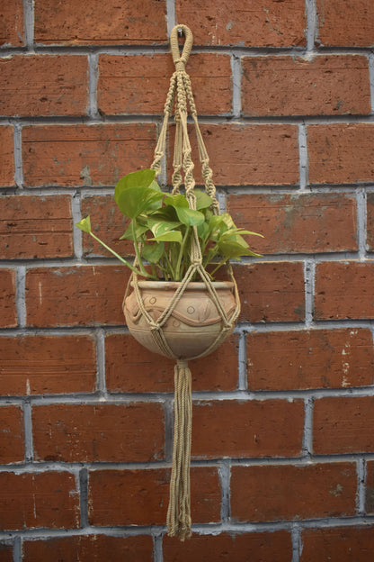 Ivy-Macramé-Planter- Combo
