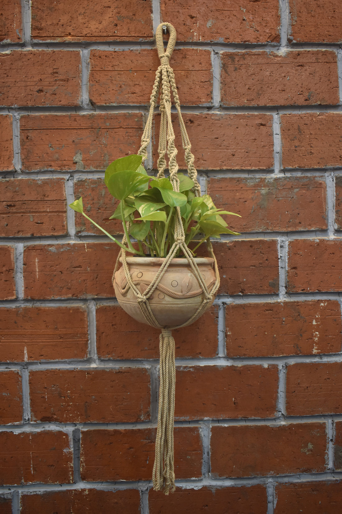 Ivy-Macramé-Planter- Combo