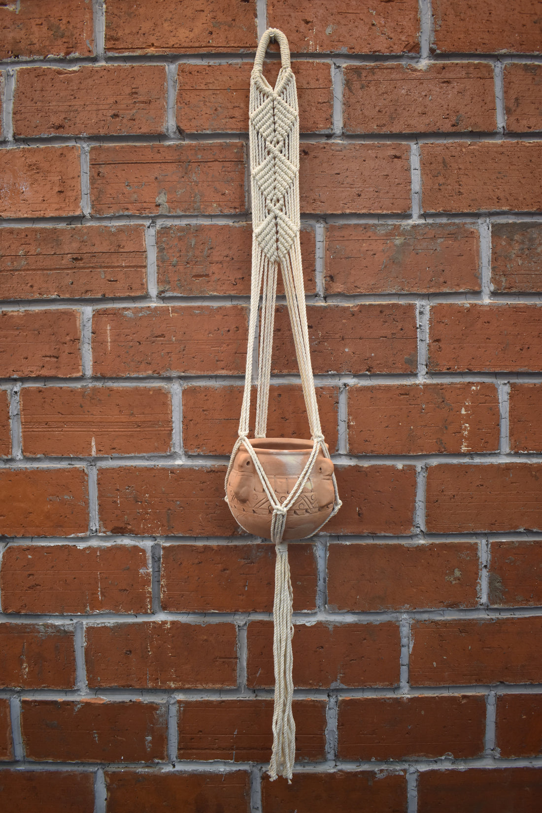 Maple-Macramé Plant Holder