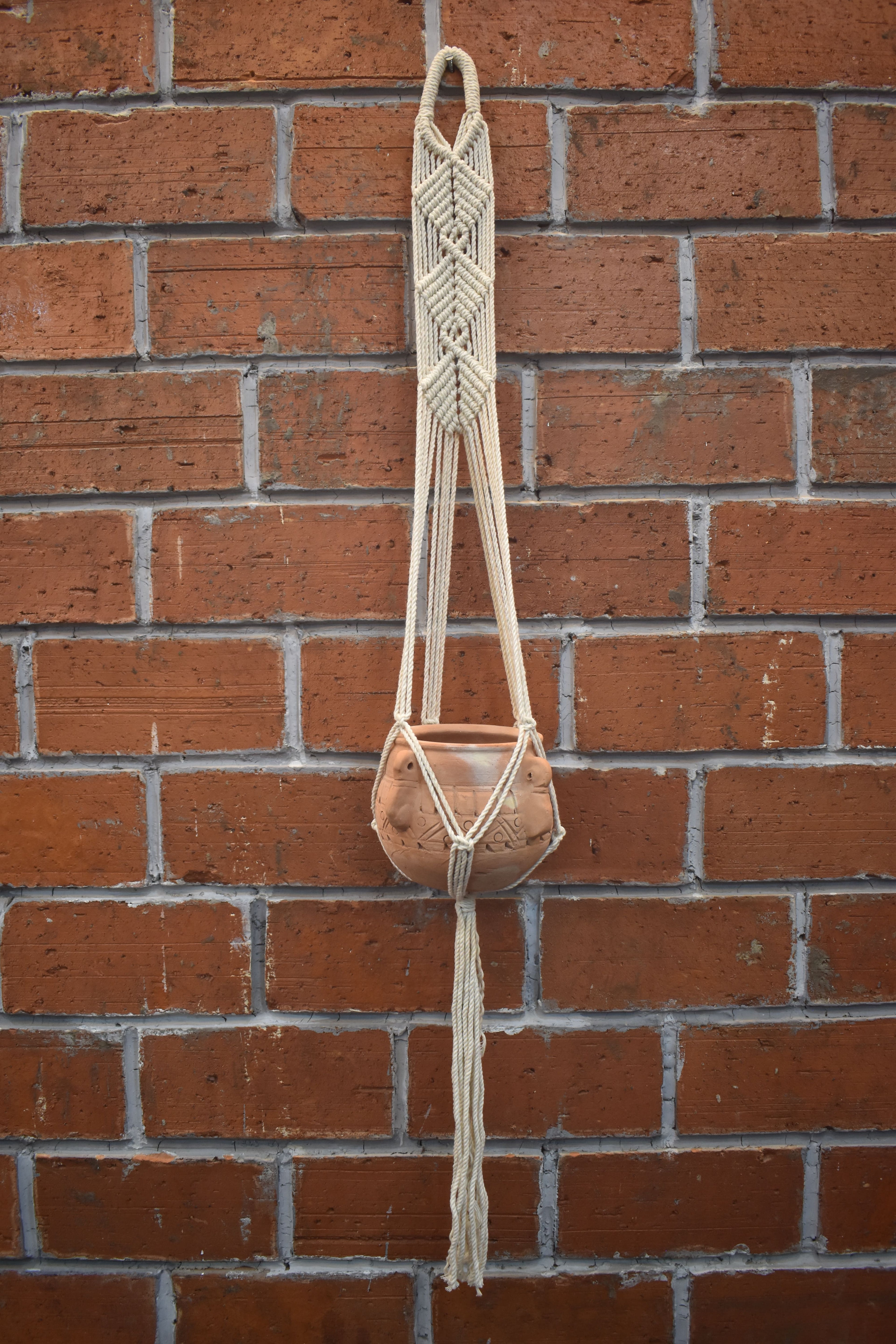 Maple-Macramé Plant Holder