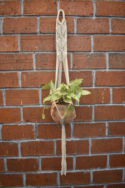 Maple-Macramé Planter- Combo