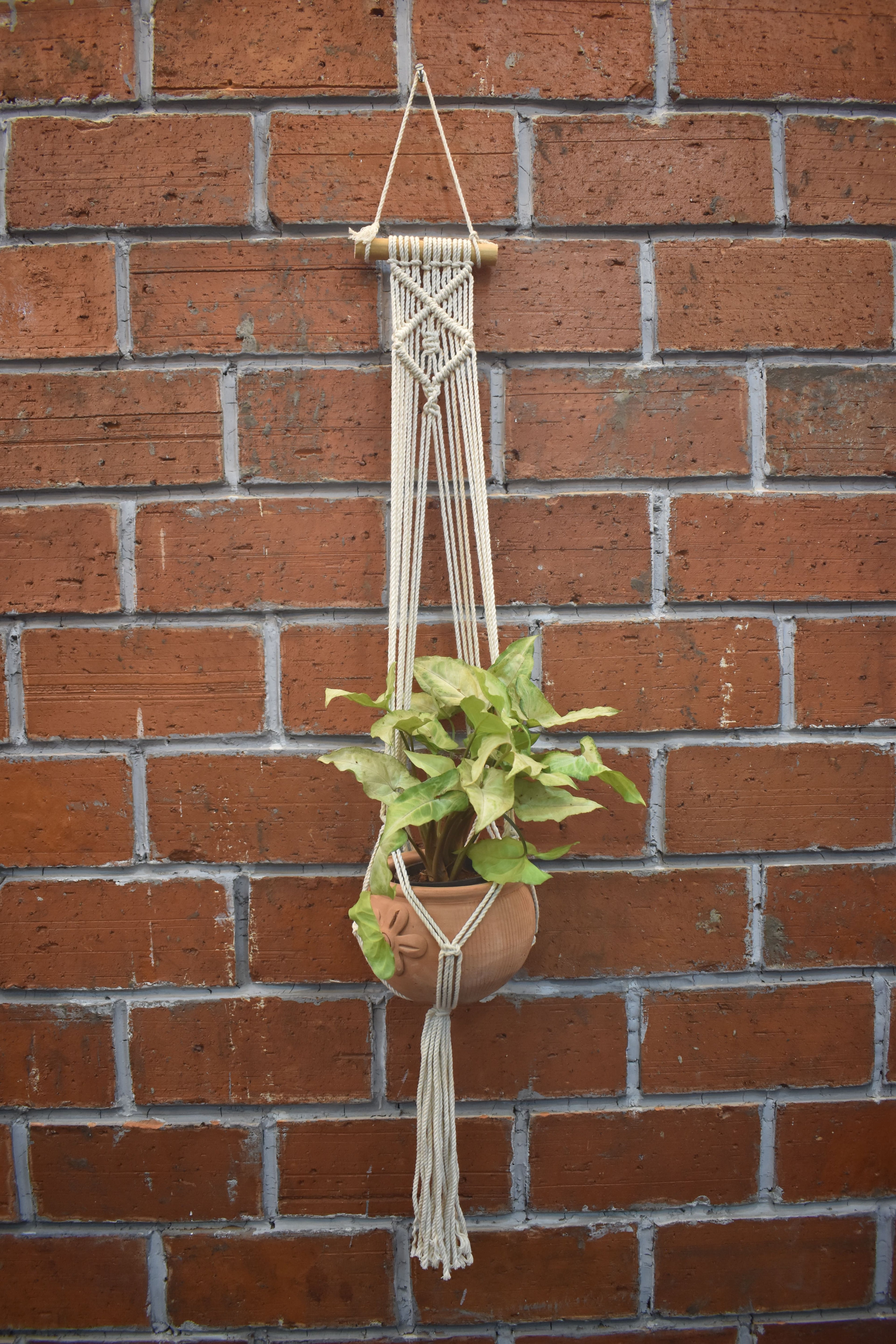 Nova-Macramé- Planter- Combo
