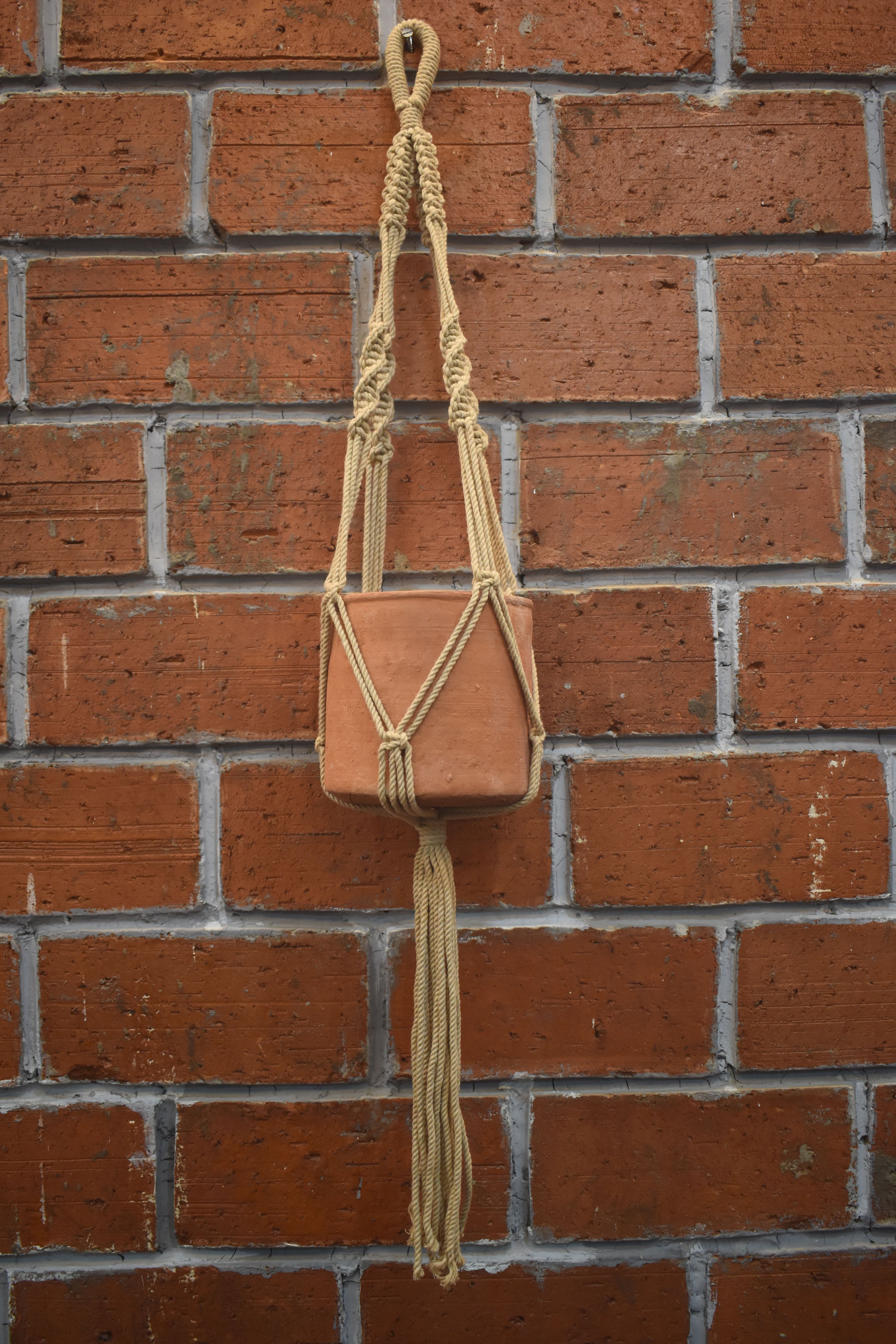 Ivy-Macramé Plant Holder