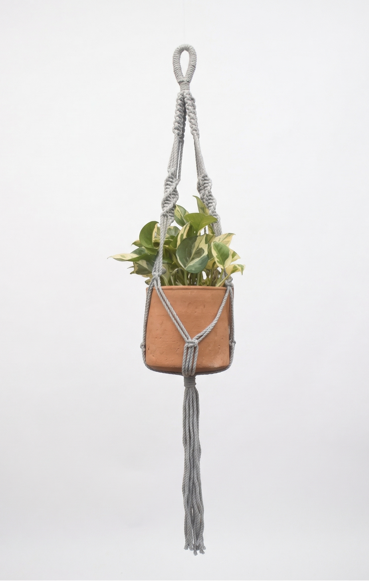 Sage-Macramé-Planter- Combo