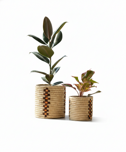 WOVEN ROOTS (SET OF 2)