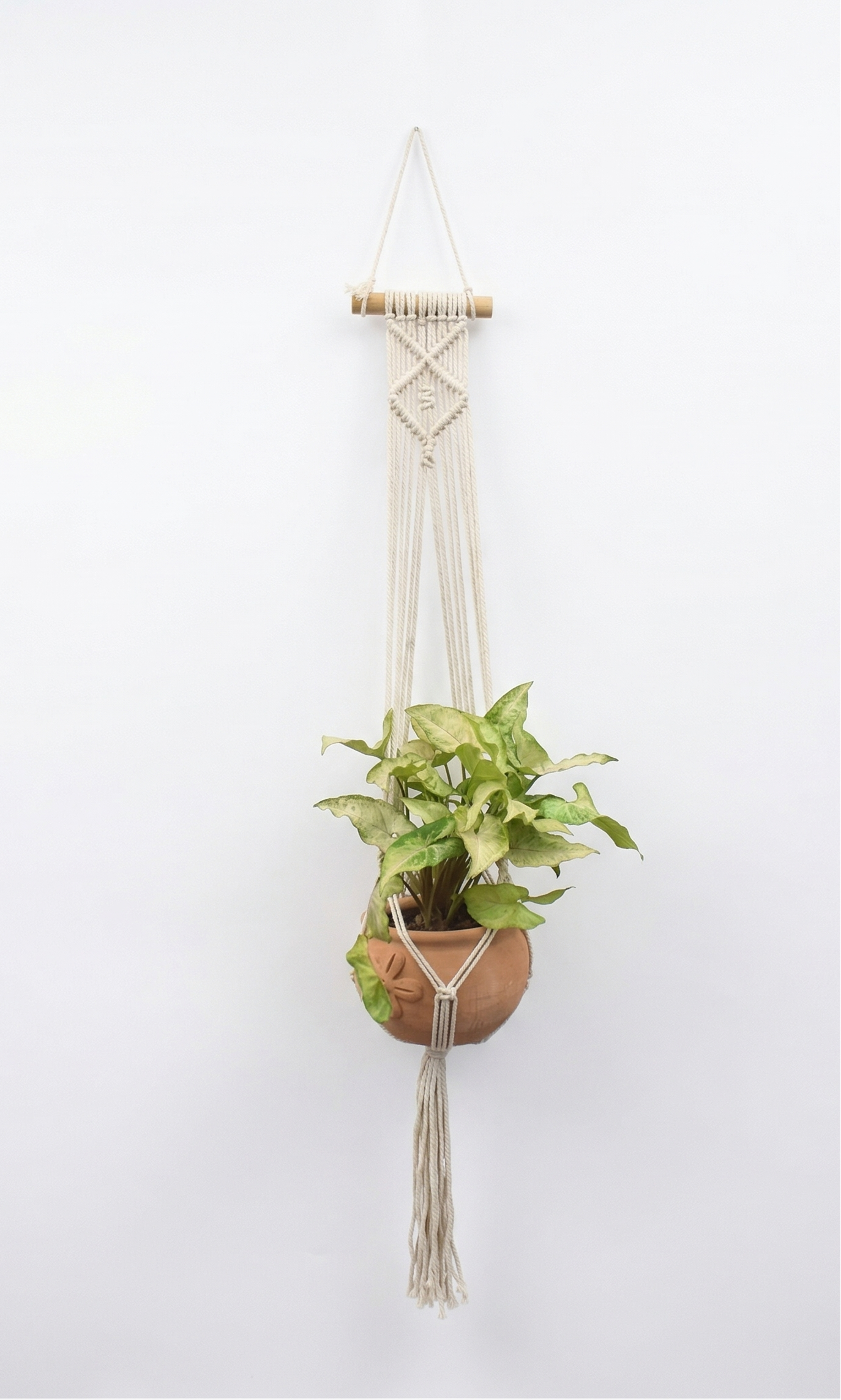 Nova-Macramé- Planter- Combo
