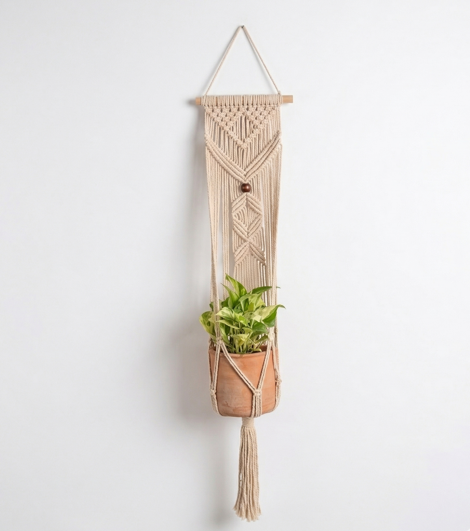 Flora-Macramé- Planter- Combo