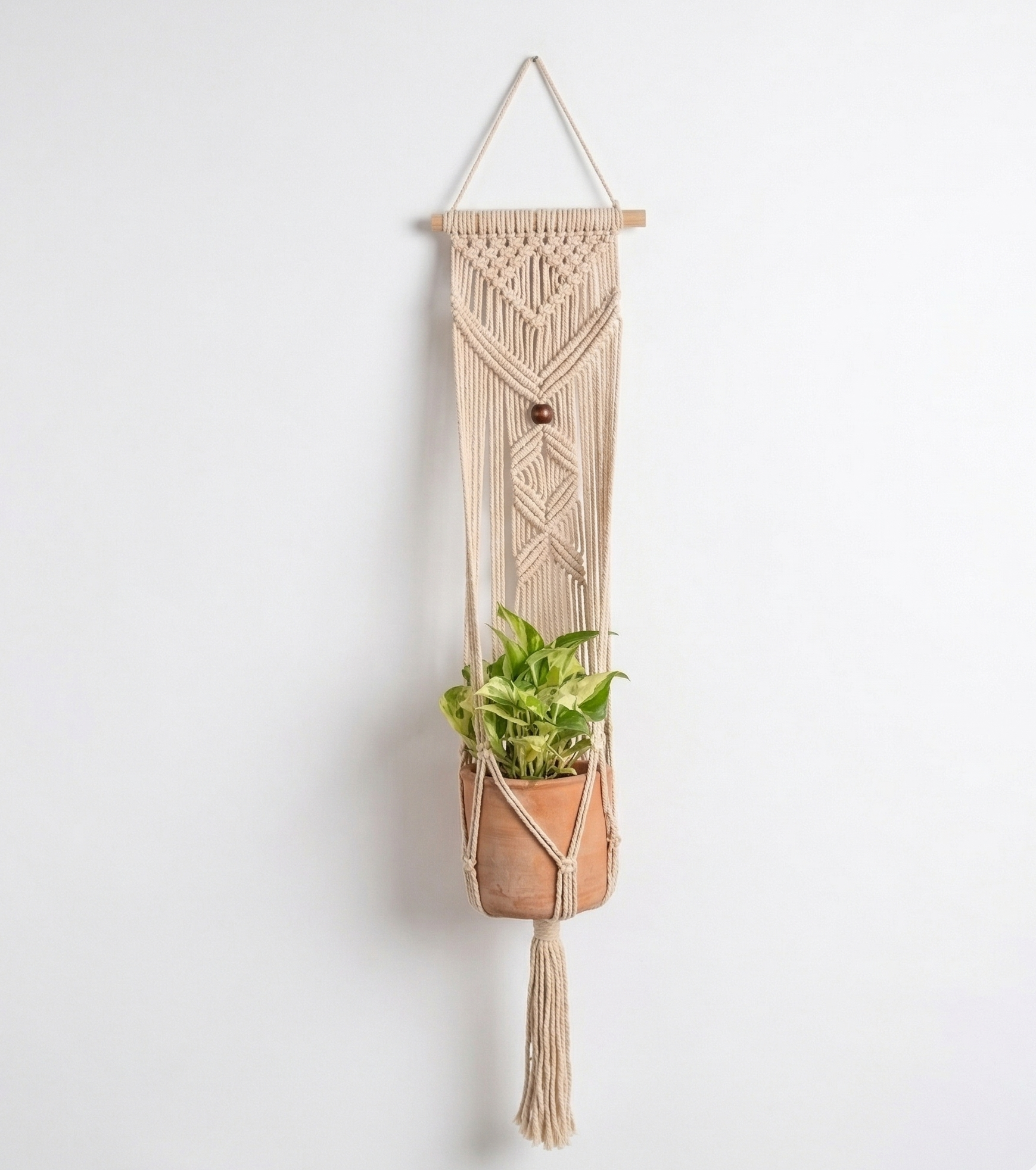 Flora-Macramé- Planter- Combo