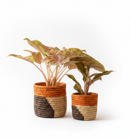 HAVEN OF HUSK  (SET OF 2)