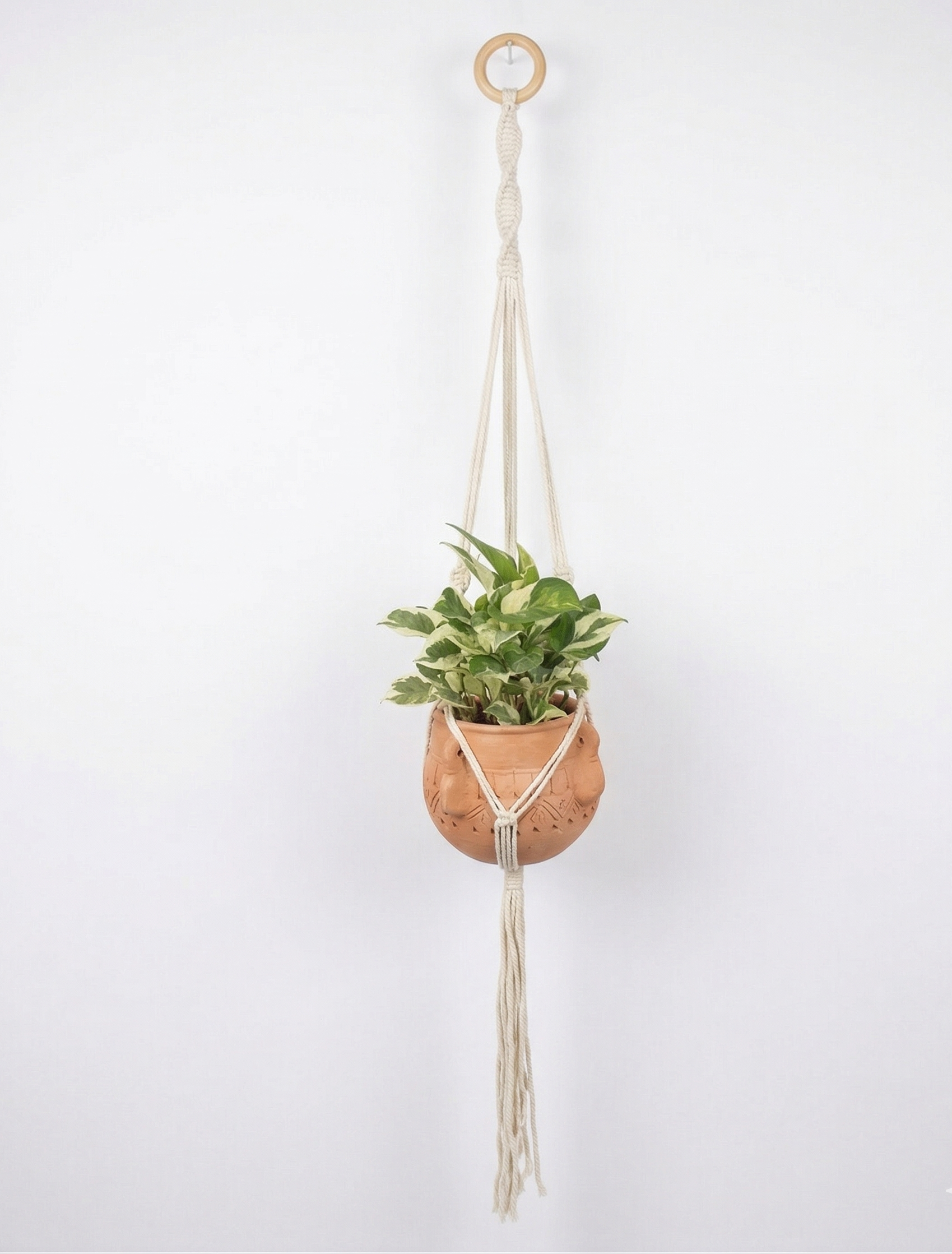 Hazel-Macramé - Planter- Combo