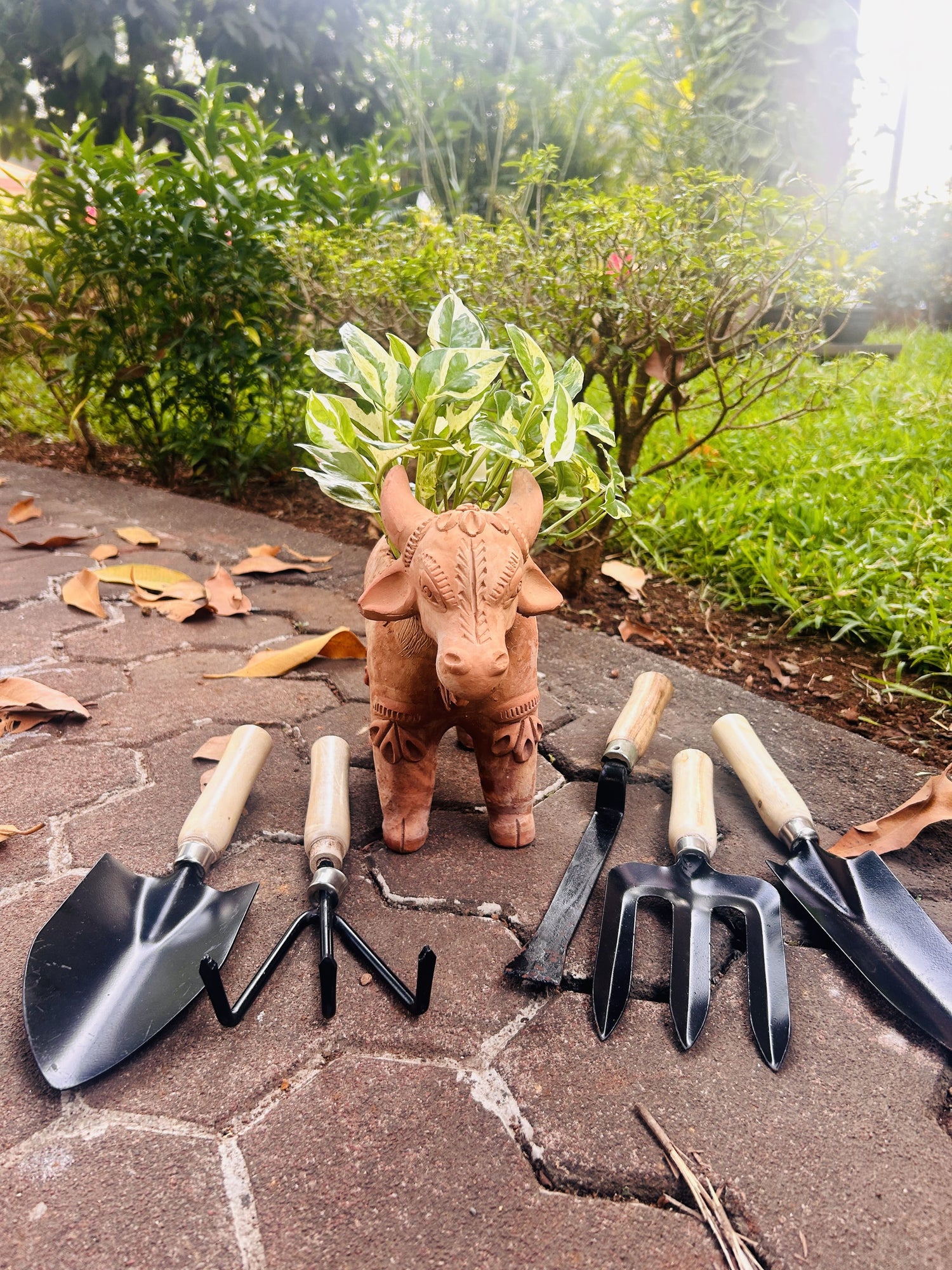 All-in-One Garden Tool Kit