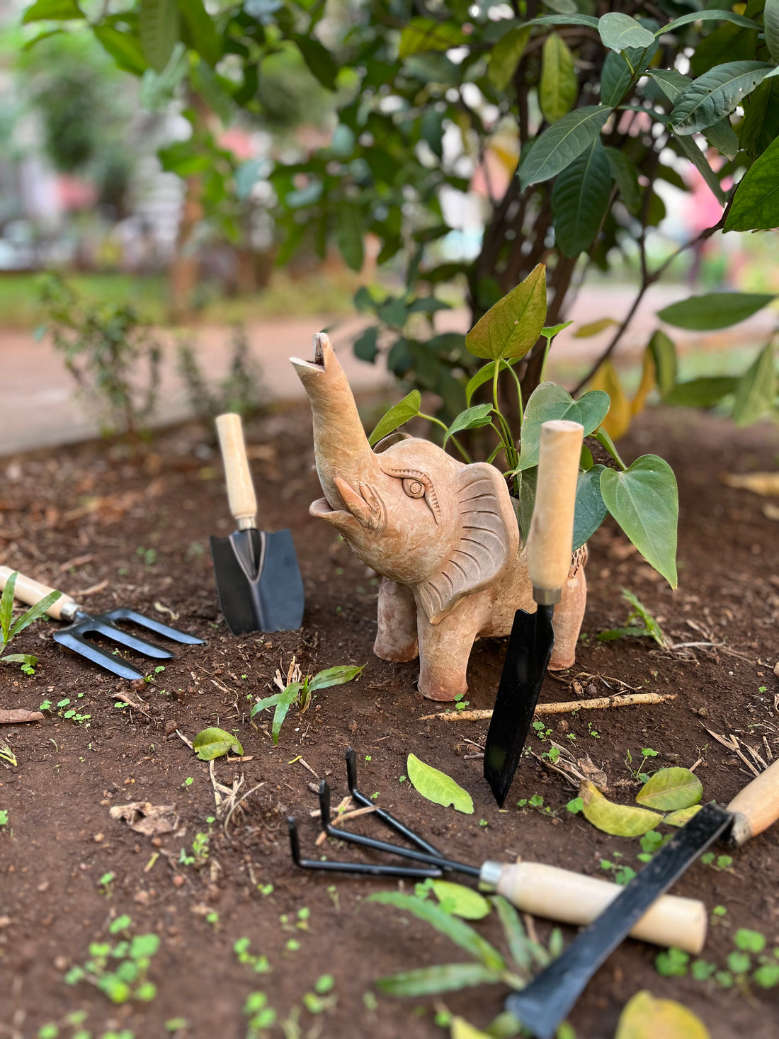 All-in-One Garden Tool Kit