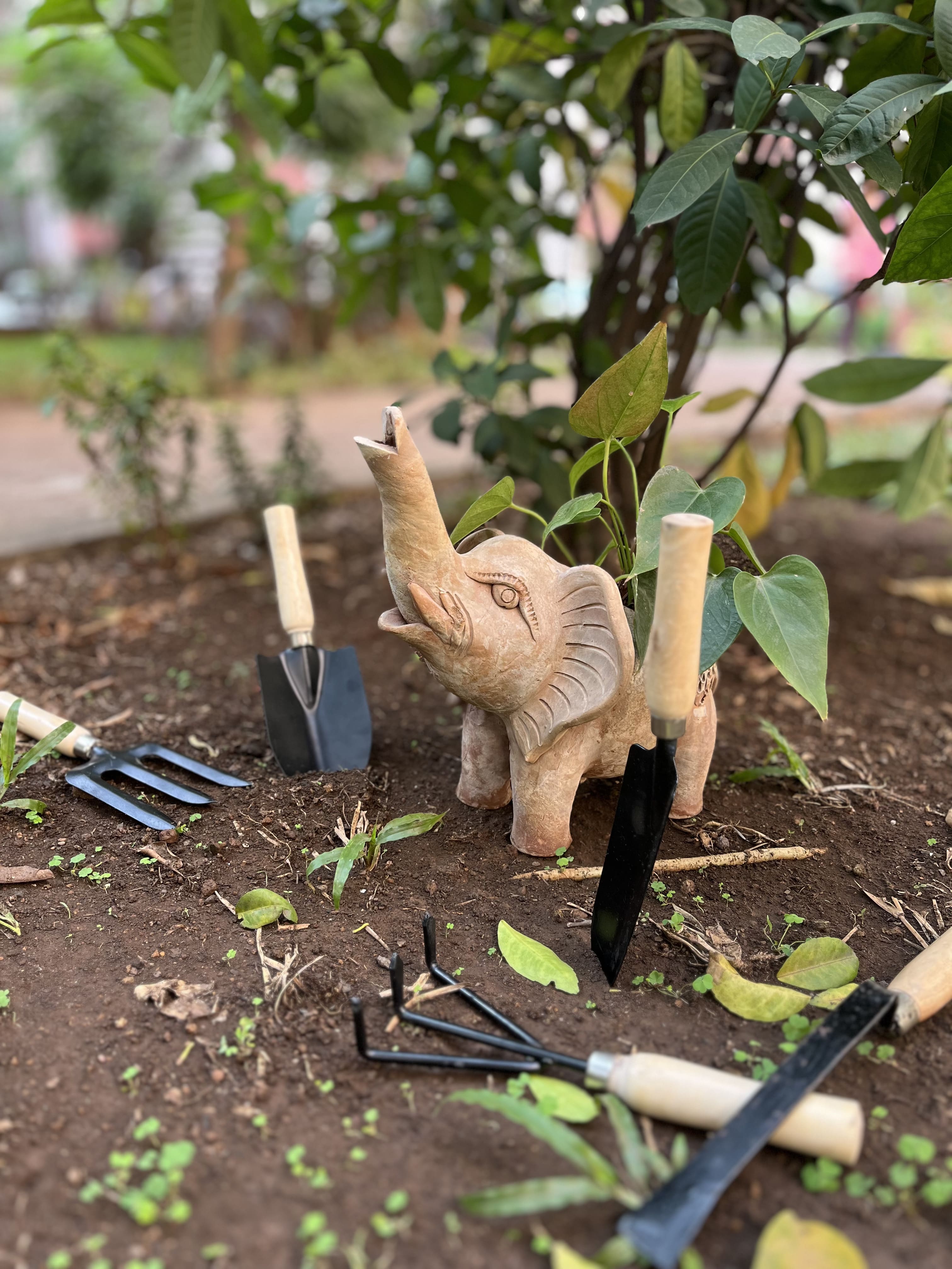 All-in-One Garden Tool Kit