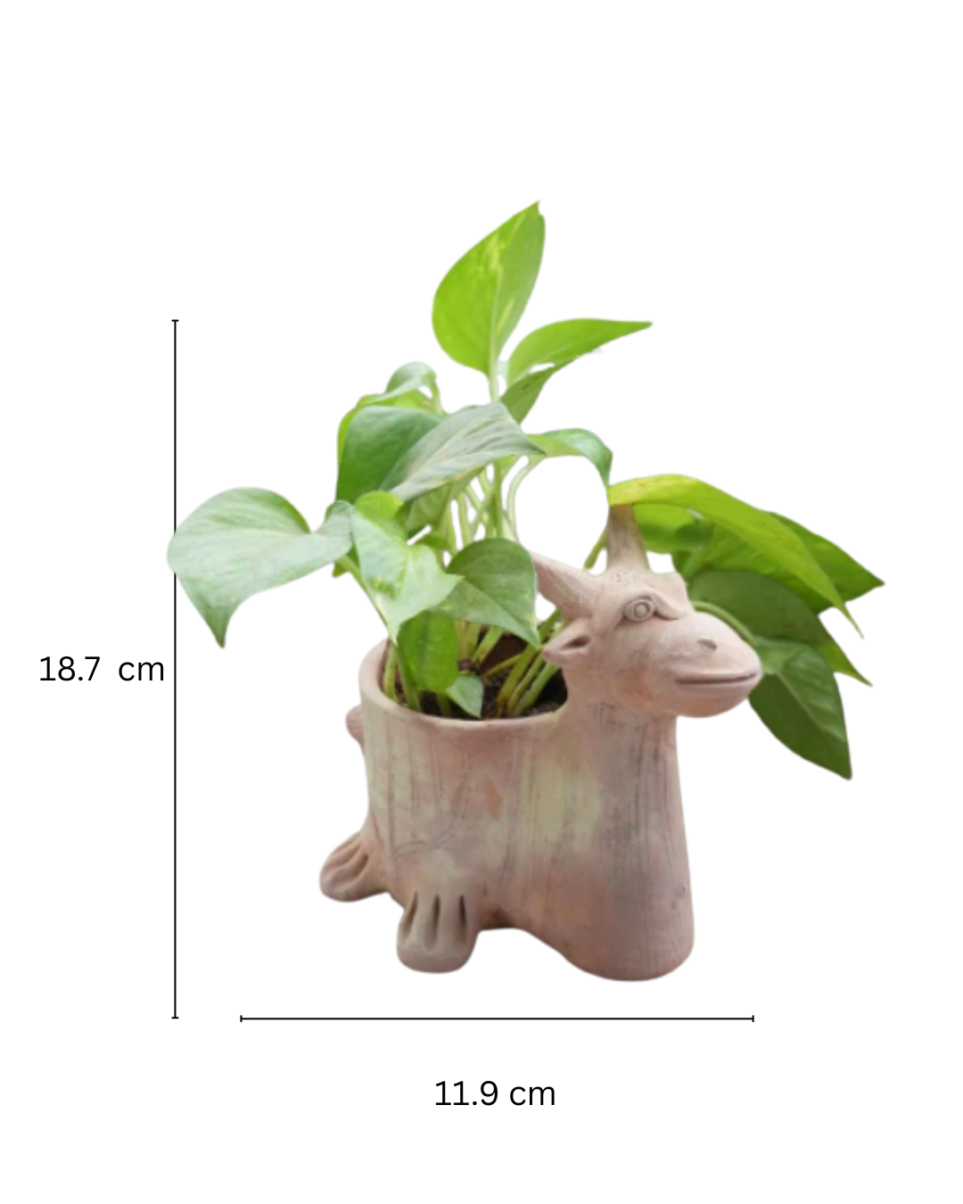 Mini Antler