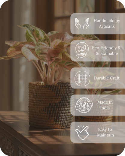 SOIL &amp; STILLNESS (SET OF 2)