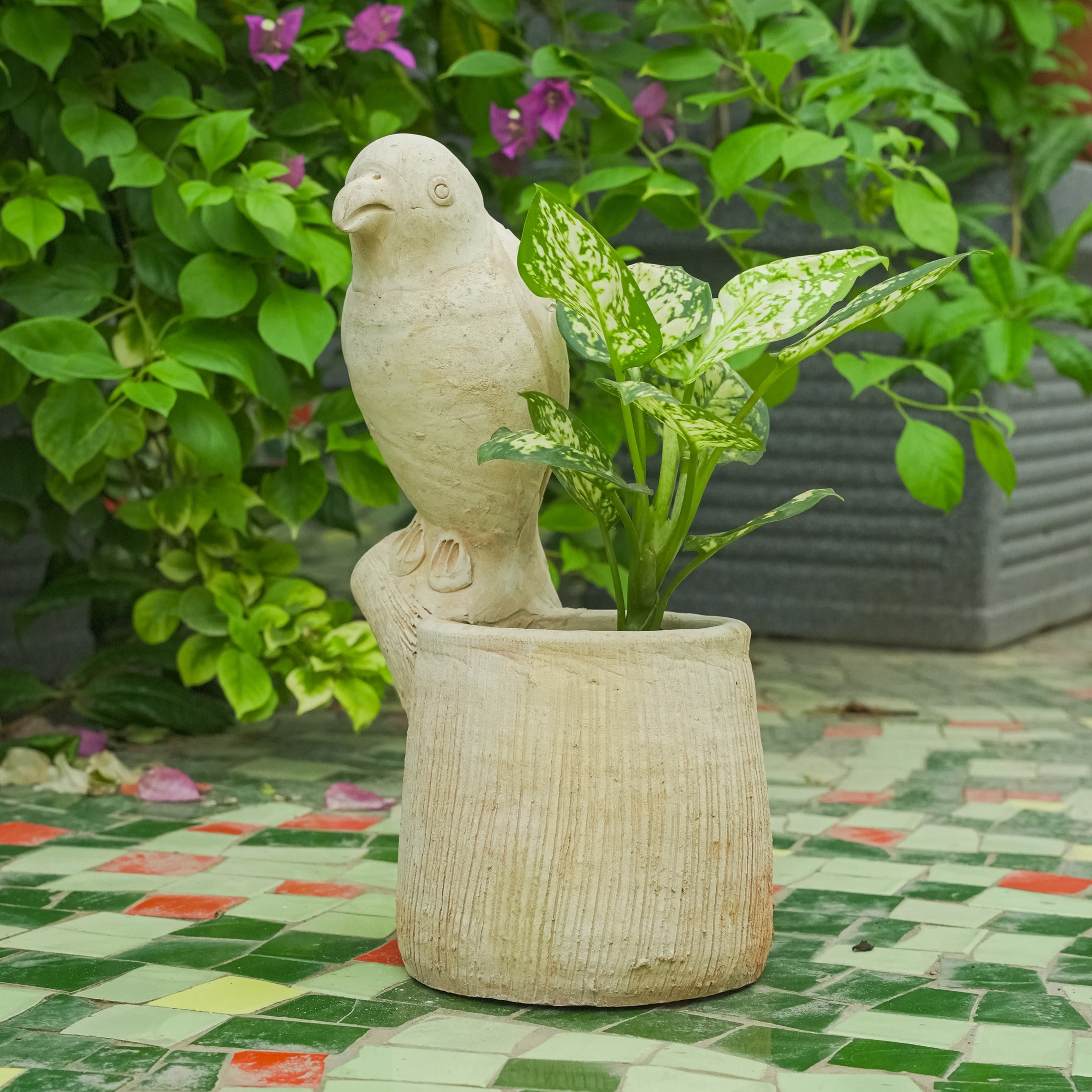 Vibrant Winged Parrot