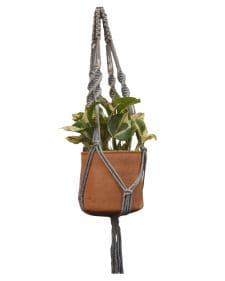Sage-Macramé Plant Holder